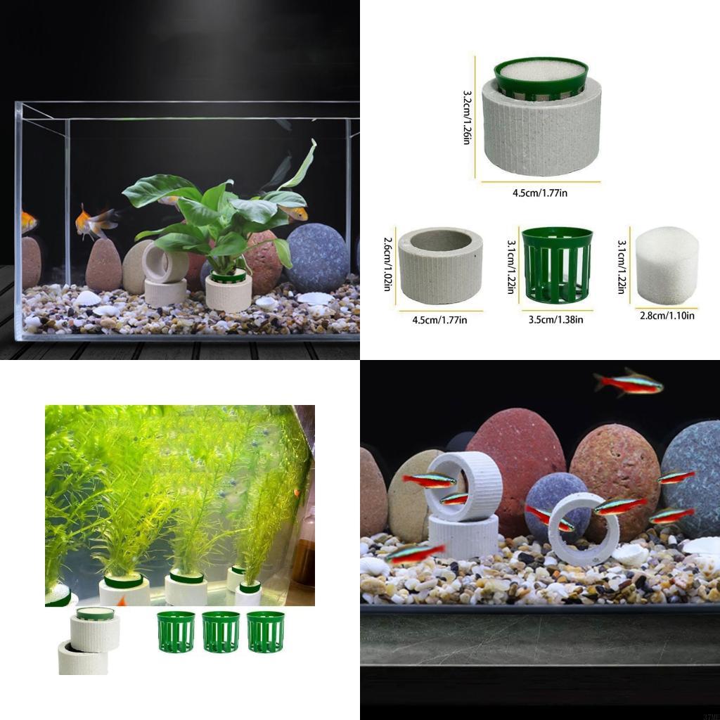 Aquarium Plant Holder - 37ME Ceramic Aquarium Plant Rings For