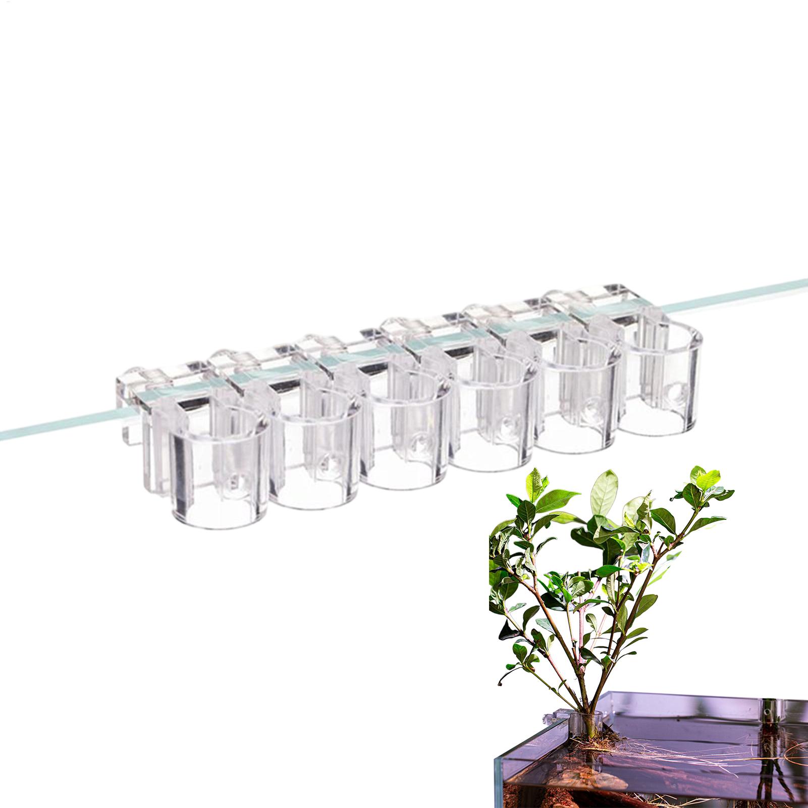 Aquarium Plants Live - Aquarium Plant Basket Transparent Fish Tank