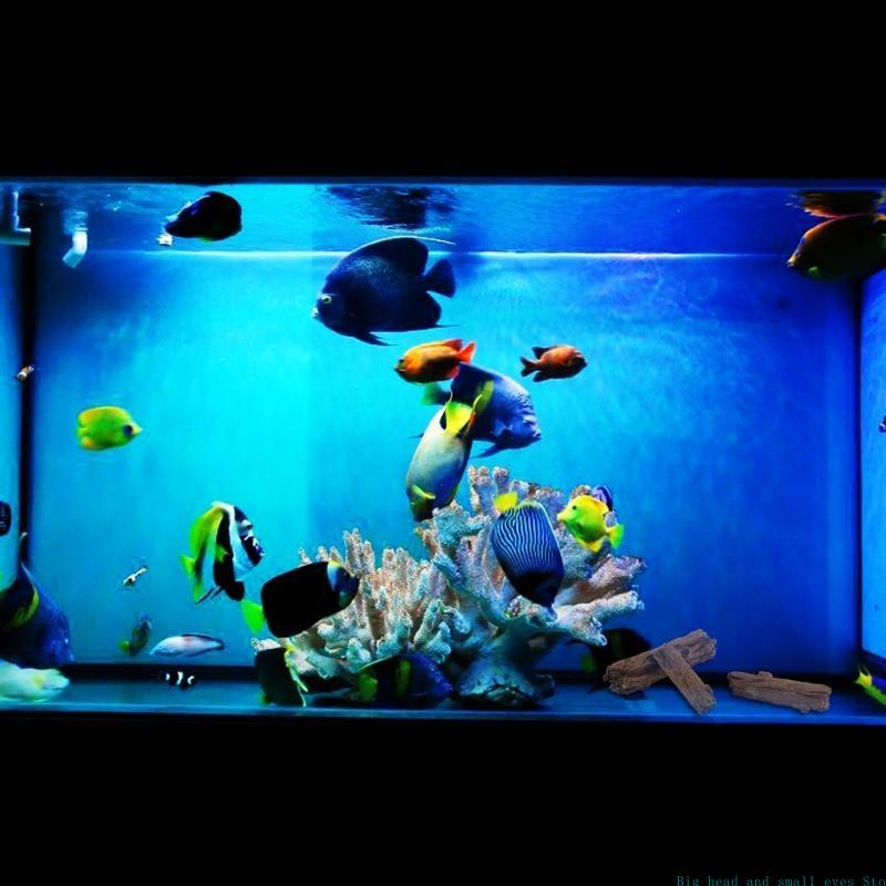 Aquarium Decoration Tree Trunk - Aquarium Moss 评论和价格