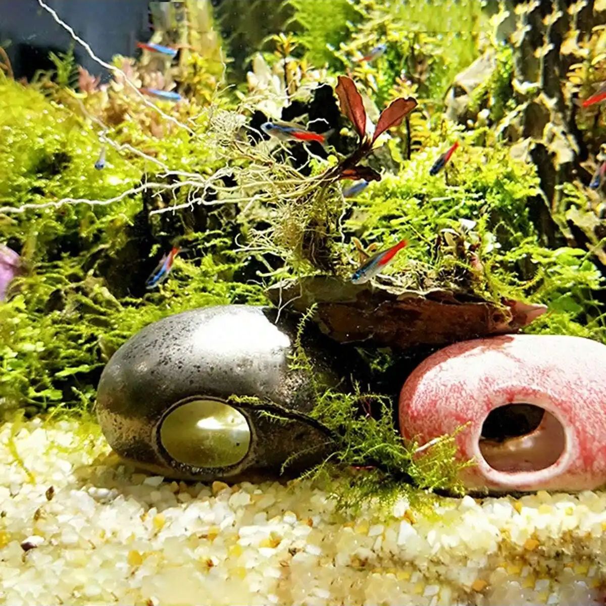 1pc-250g Natural Crystals Grav - Aquarium Moss 评论和价格