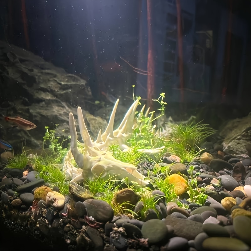 1pc Dragon-Shaped Fishbone Dec - Aquarium Moss 评论和价格