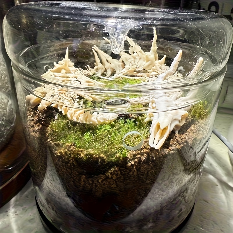 1pc Dragon-Shaped Fishbone Dec - Aquarium Moss 评论和价格