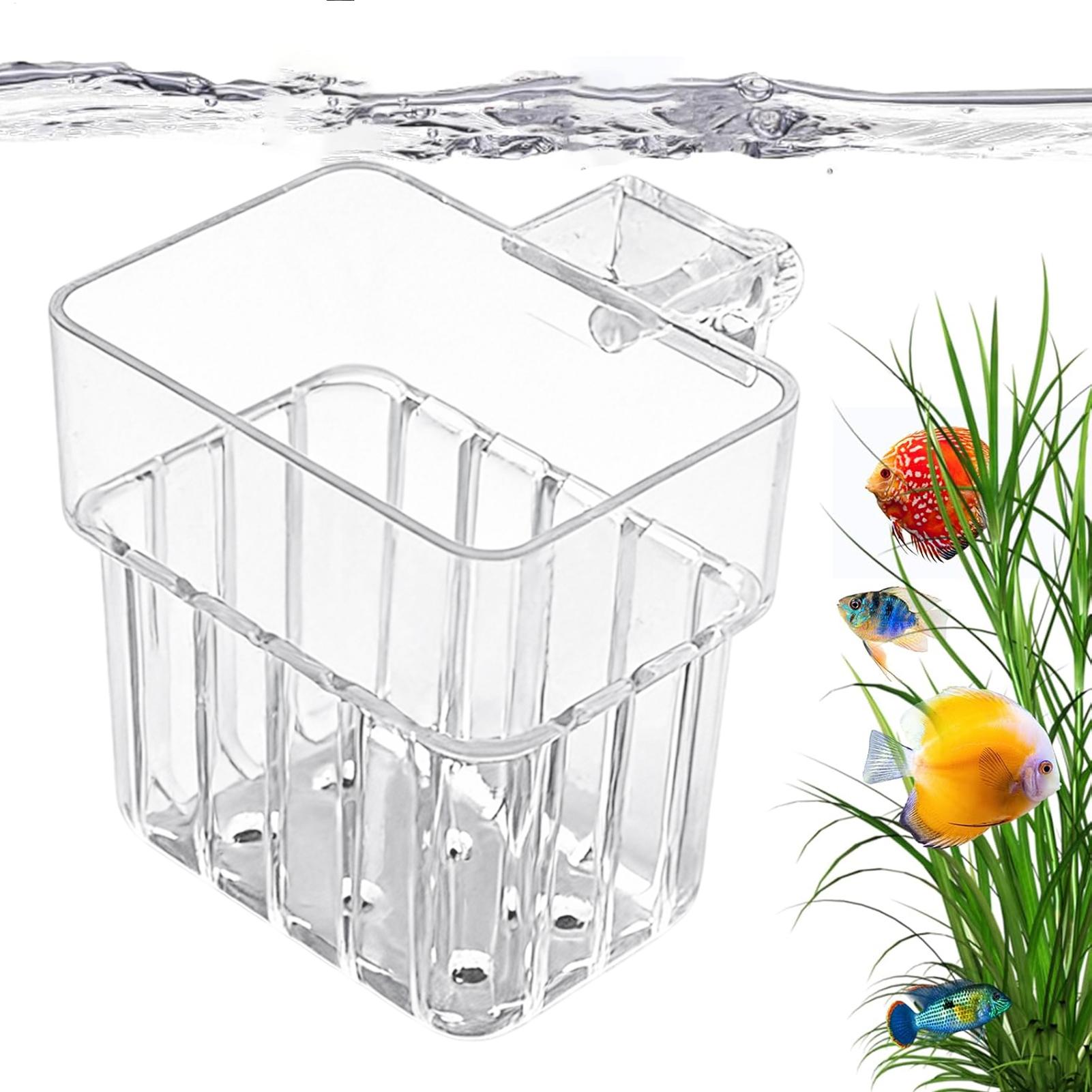 Transparent Hangable Aquarium  - Aquarium Plants Live 评论和价格
