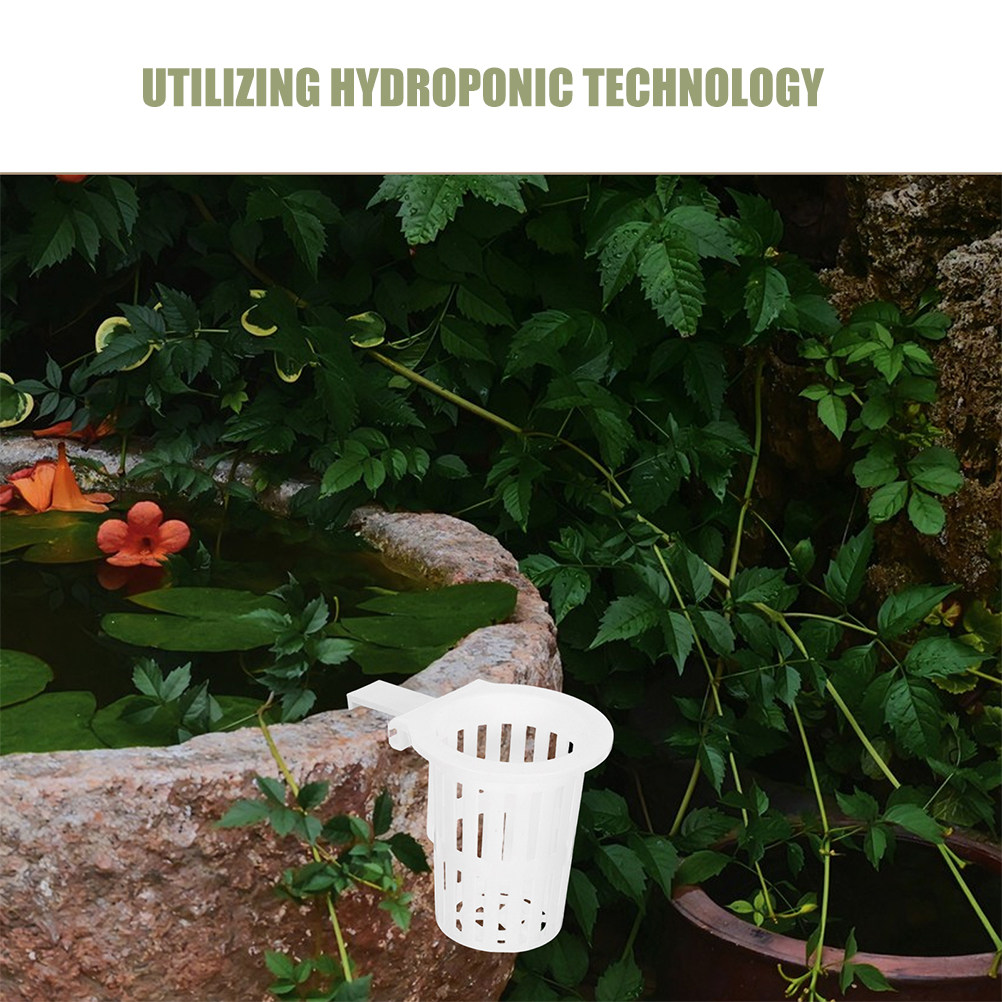 4Pcs Wall Mounted Hydroponic B - Aquarium Plant Holder 评论和价格