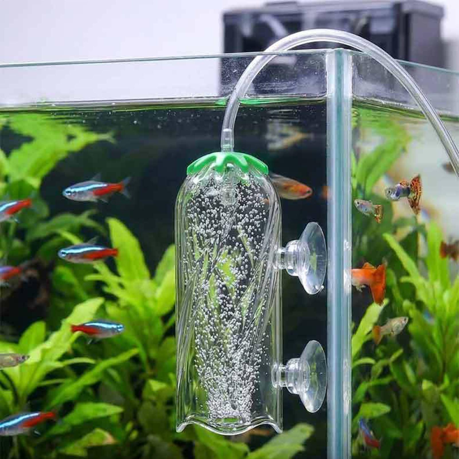 Fish Tank Oxygen Diffuser Spla - Aquarium Planted Tank Filter 评论和价格