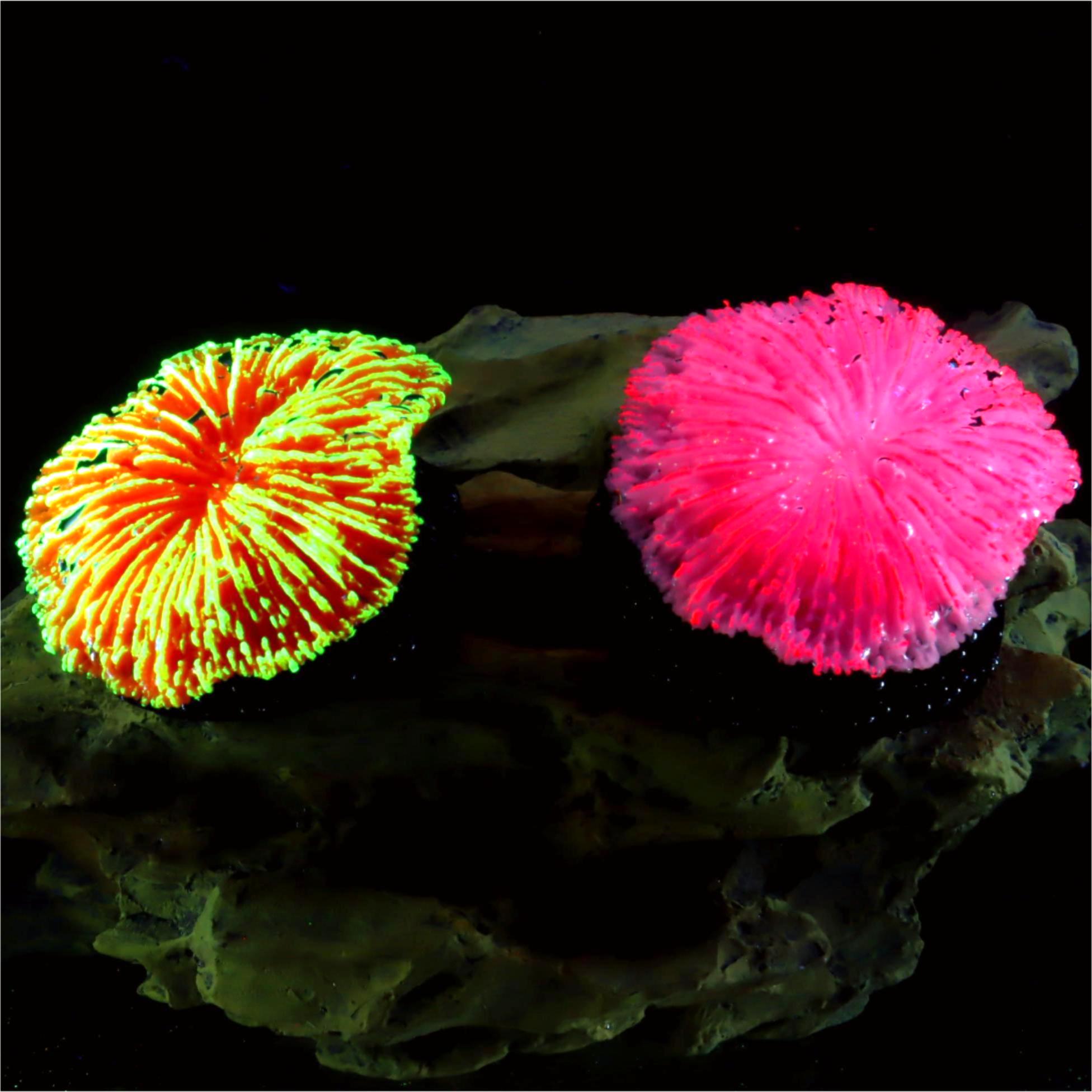 1 Piece Aquarium Decoration Sa - Aquarium Moss 评论和价格