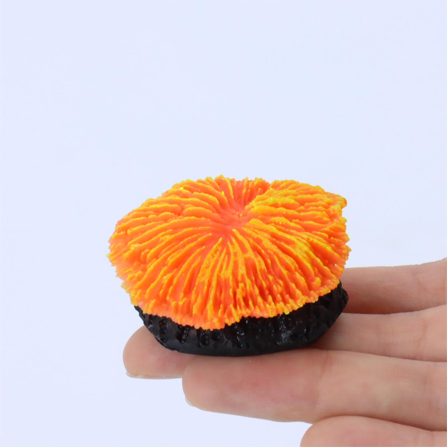 1 Piece Aquarium Decoration Sa - Aquarium Moss 评论和价格