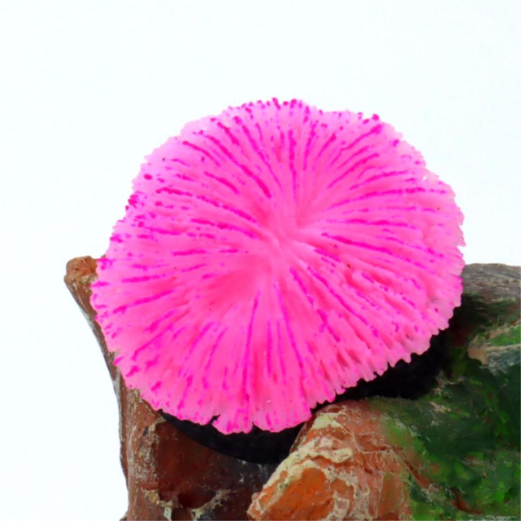 1 Piece Aquarium Decoration Sa - Aquarium Moss 评论和价格