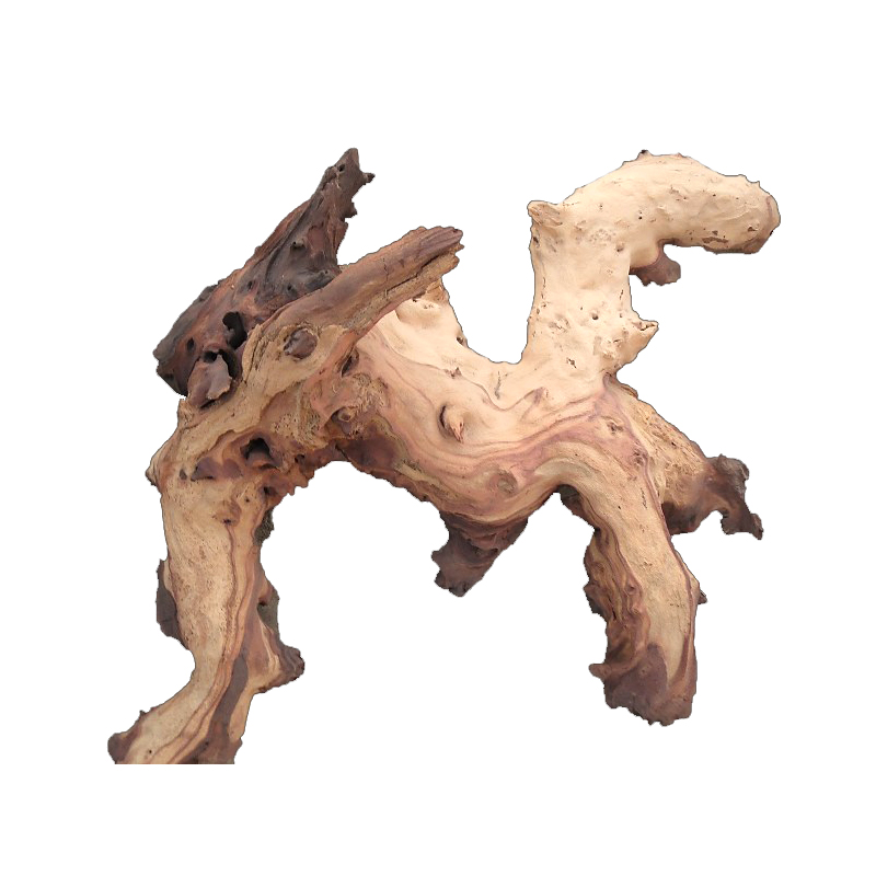 Mopani Roots Driftwood Wholesa - Aquarium Driftwood 评论和价格