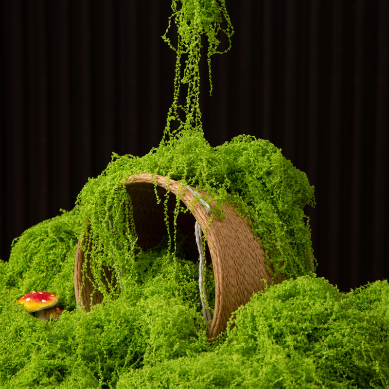 200g Eternal Life Moss DIY Cra - Aquarium Moss 评论和价格