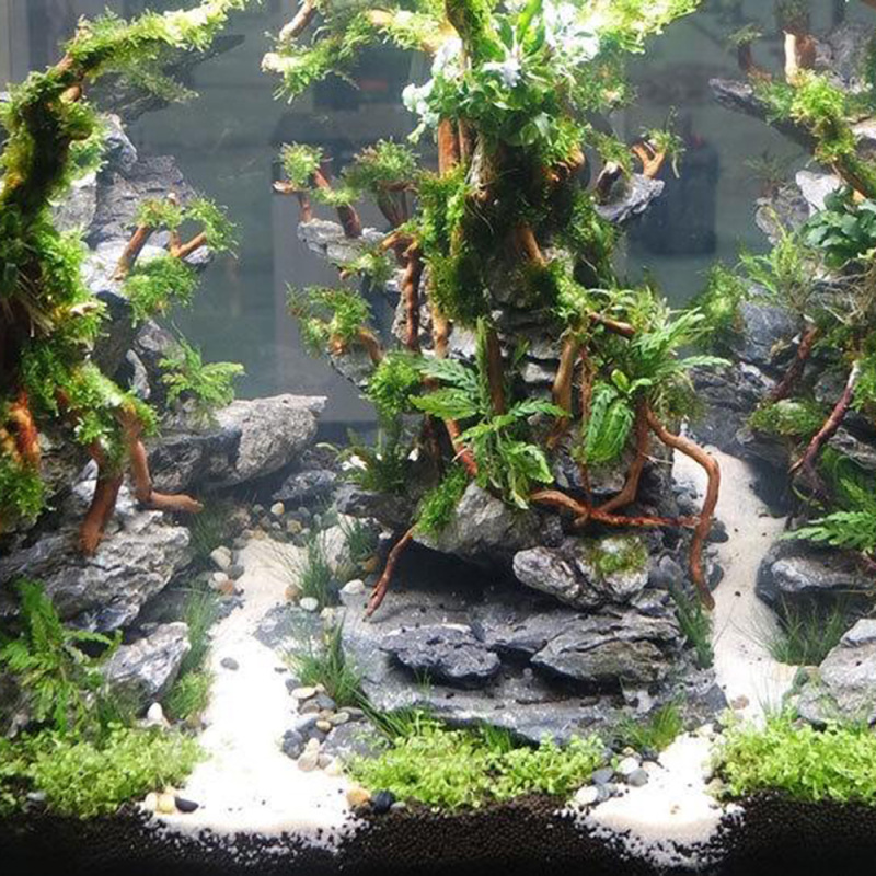 Aquarium Micro Landscape Natur - Aquarium Driftwood 评论和价格