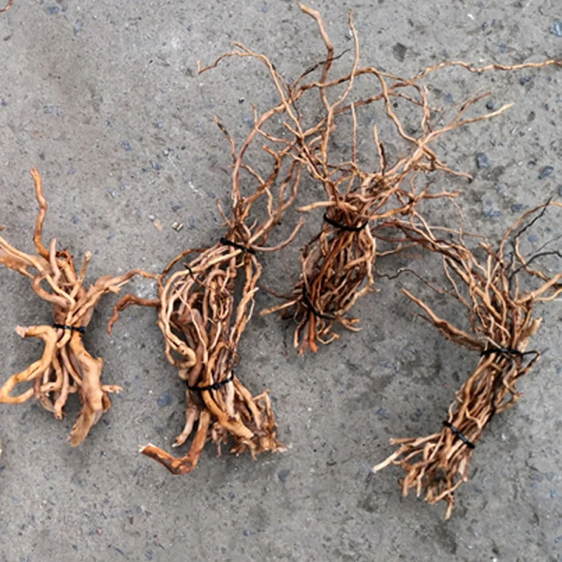 Aquarium Micro Landscape Natur - Aquarium Driftwood 评论和价格