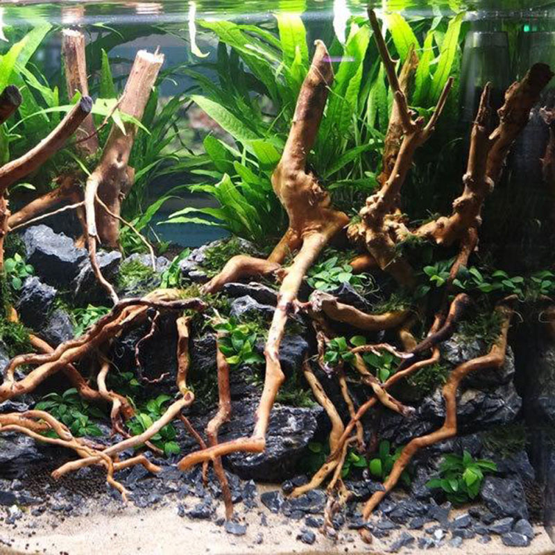 Aquarium Micro Landscape Natur - Aquarium Driftwood 评论和价格