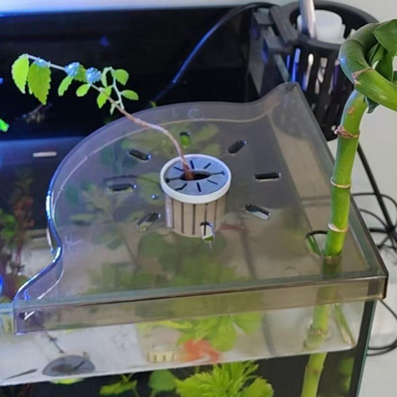 Fish Tank Corner Shelf  Coral  - Aquarium Plant Holder 评论和价格