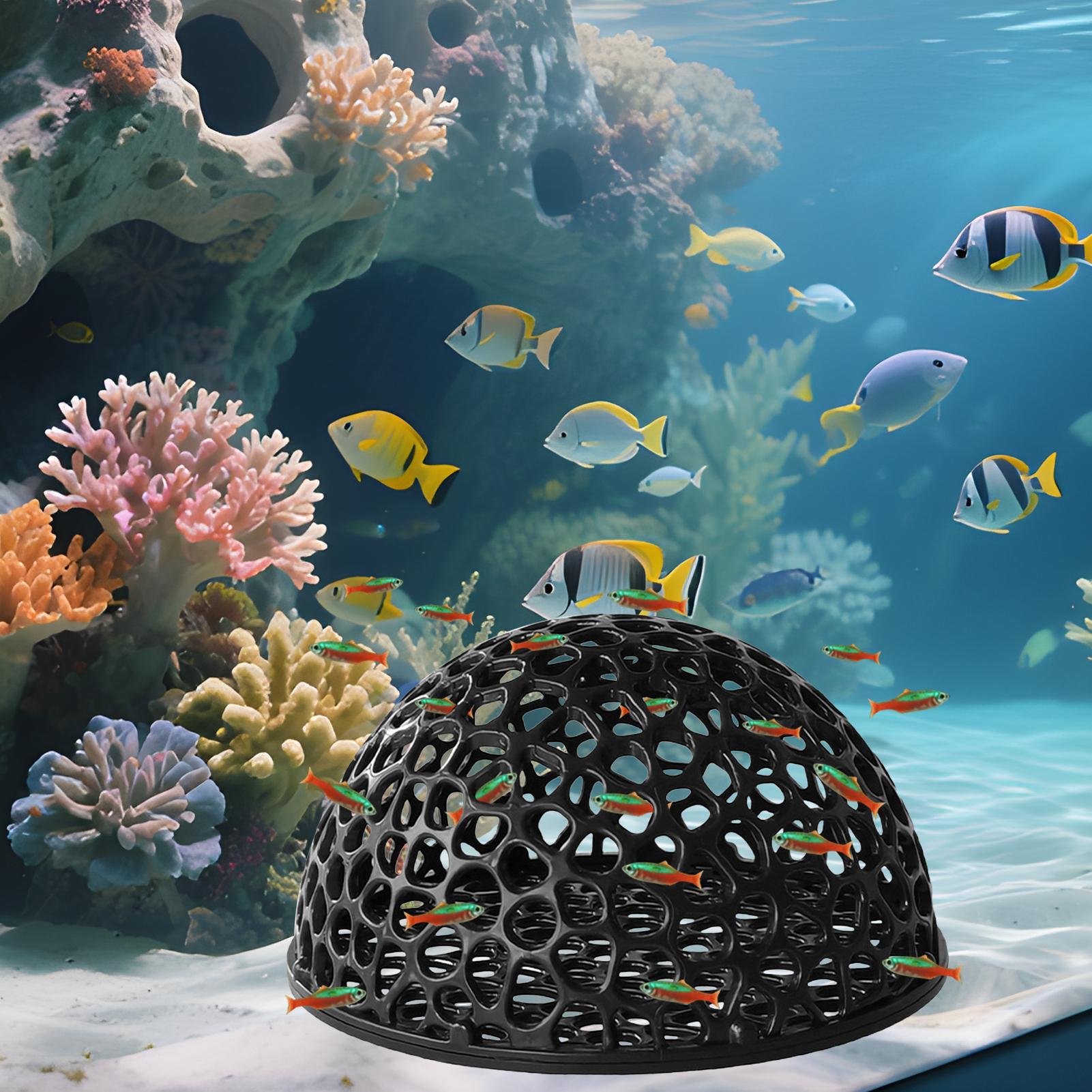 Aquarium Hiden Cave Shelter fo - Aquarium Plant Holder 评论和价格