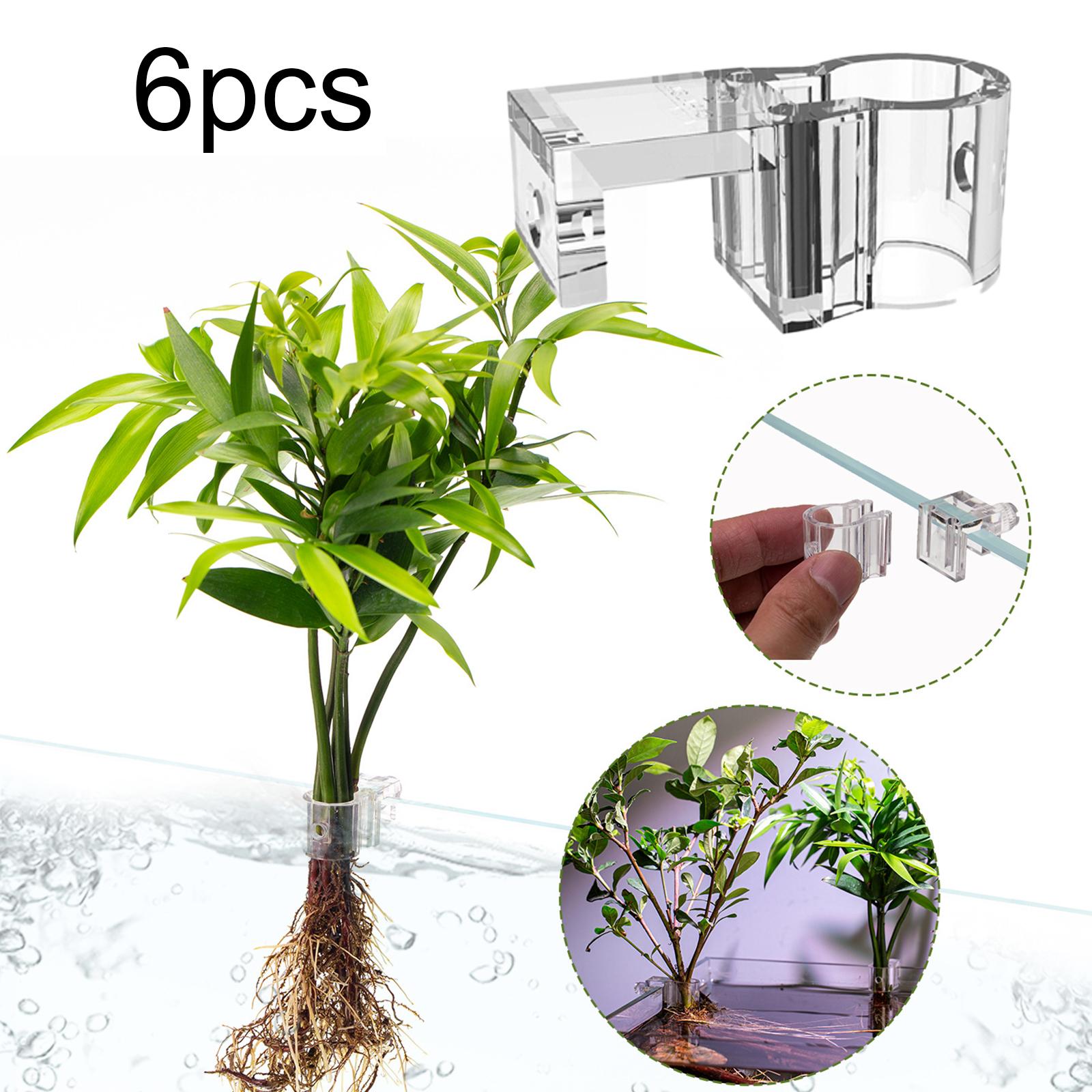 6Pcs Aquarium Plant Holder Sup - Aquarium Plant Holder 评论和价格