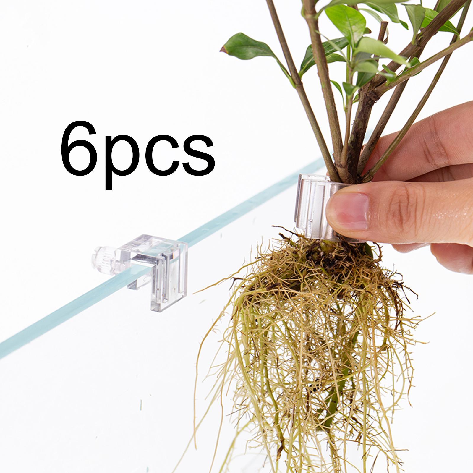 6Pcs Aquarium Plant Holder Sup - Aquarium Plant Holder 评论和价格