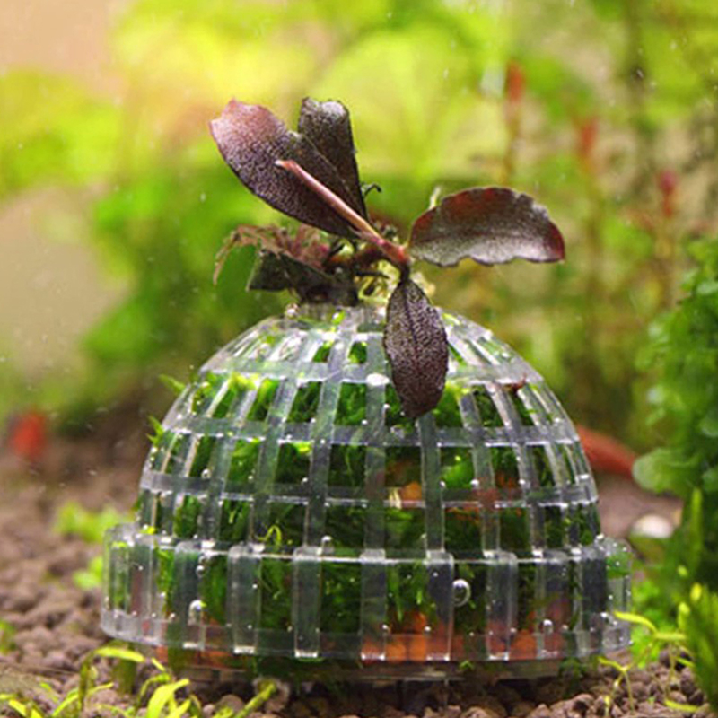 .1Pc Aquatic Pet Supplies Deco - Live Plant Aquarium 评论和价格