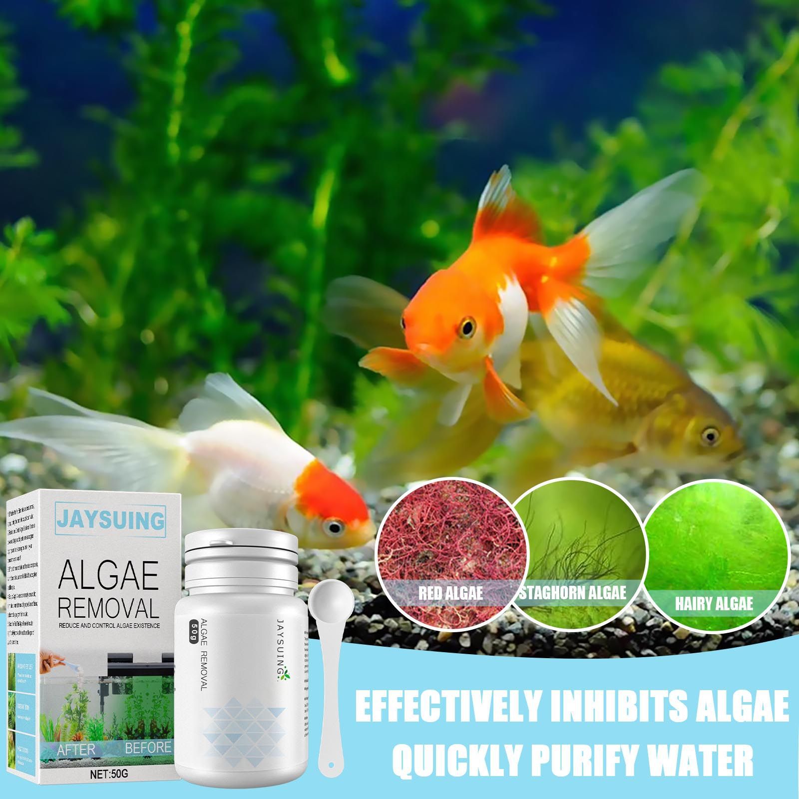 Aquarium Algae Remover Powder, - Aquarium Moss 评论和价格