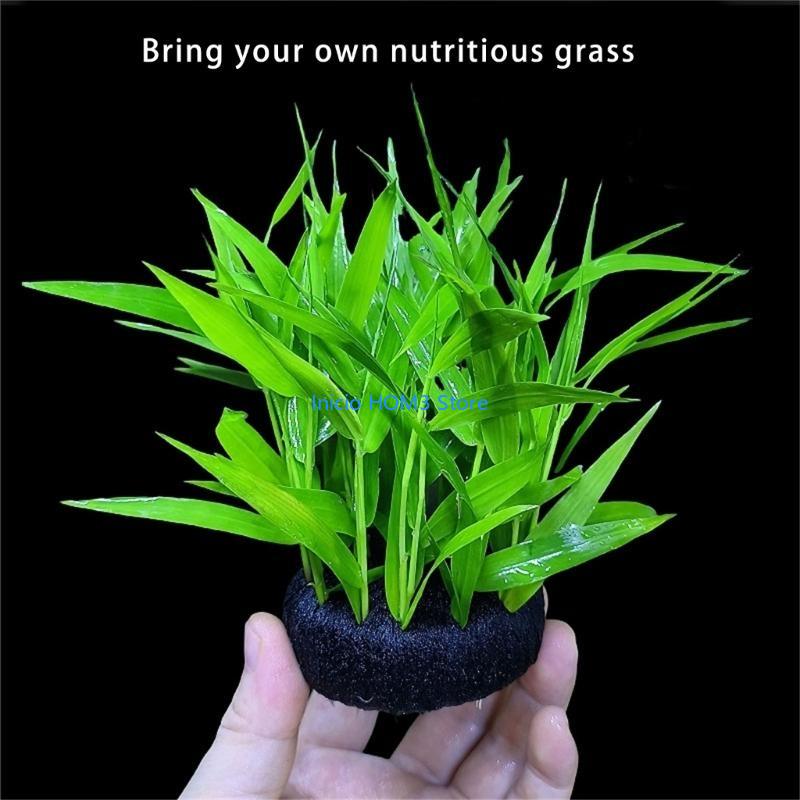 A5YD High Performances Aquariu - Aquarium Plant Substrate 评论和价格