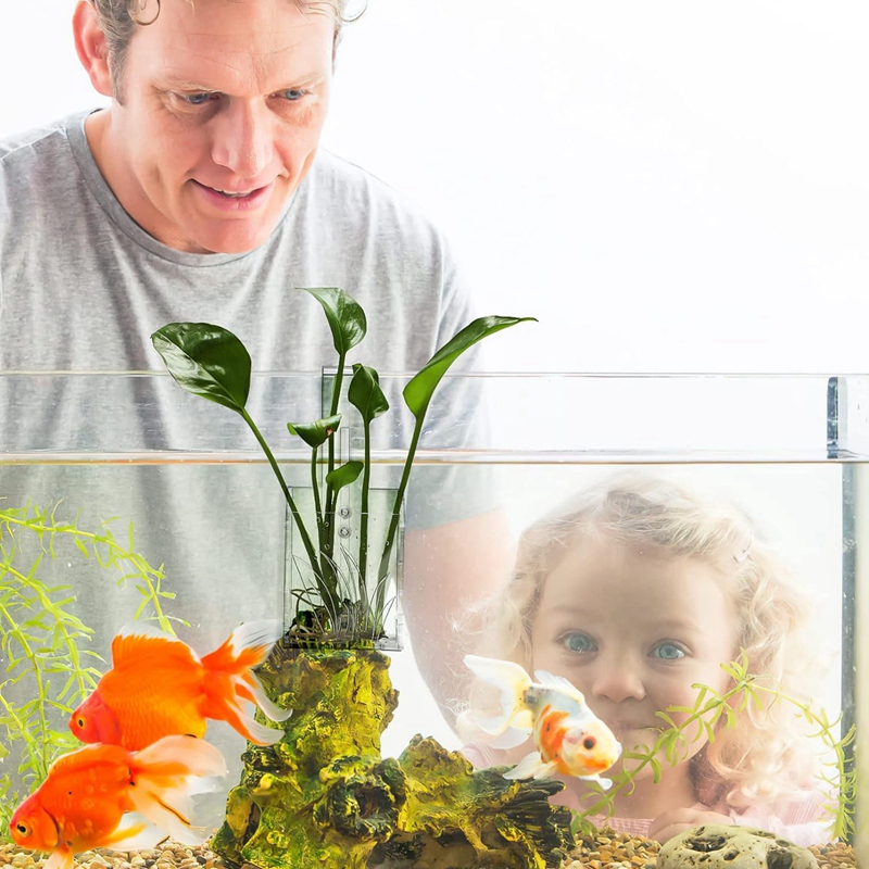 Aquarium Planter - Hanging Aqu - Aquarium Plant Holder 评论和价格