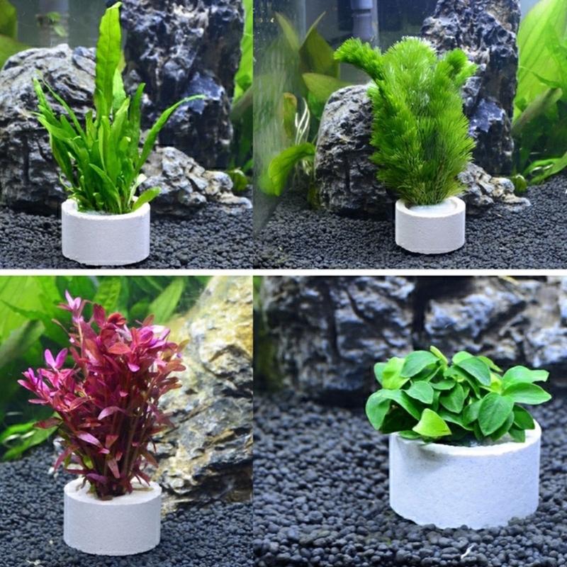 37ME Ceramic Aquarium Plant Ri - Aquarium Plant Holder 评论和价格