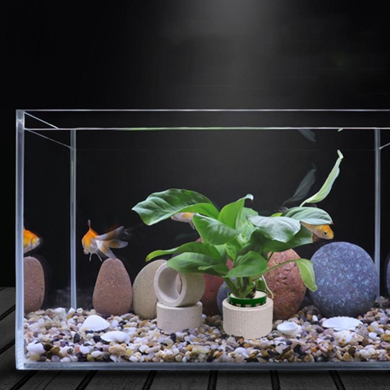 37ME Ceramic Aquarium Plant Ri - Aquarium Plant Holder 评论和价格