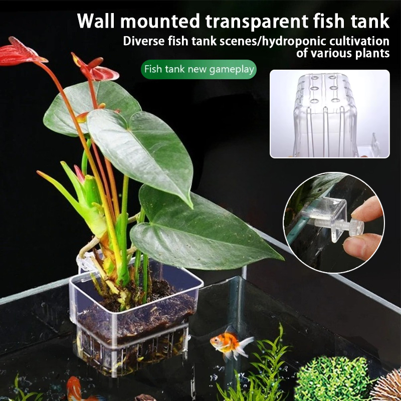Aquarium Hanging Planter Cups  - Aquarium Plant Holder 评论和价格