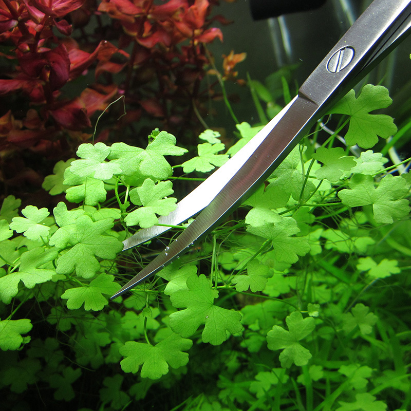 Aquarium Accessories Hard Stai - Planted Aquarium Cleaning 评论和价格