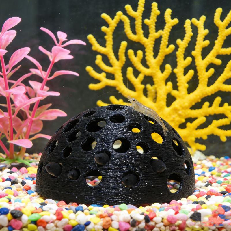 Aquarium Hidden Cave Shelter F - Aquarium Plants Live 评论和价格