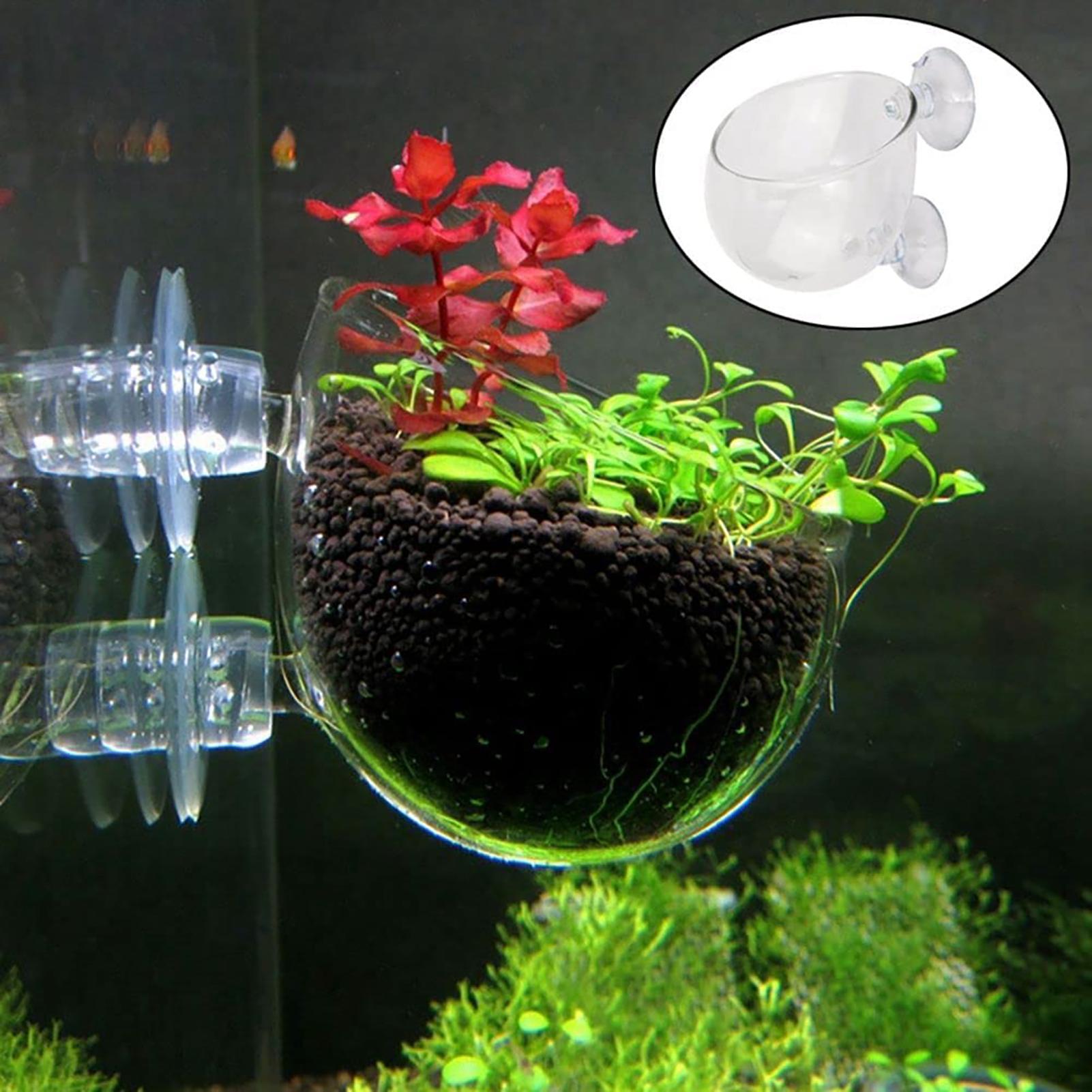 Aquarium Decoration Plant Cup  - Plant Aquarium Pot 评论和价格
