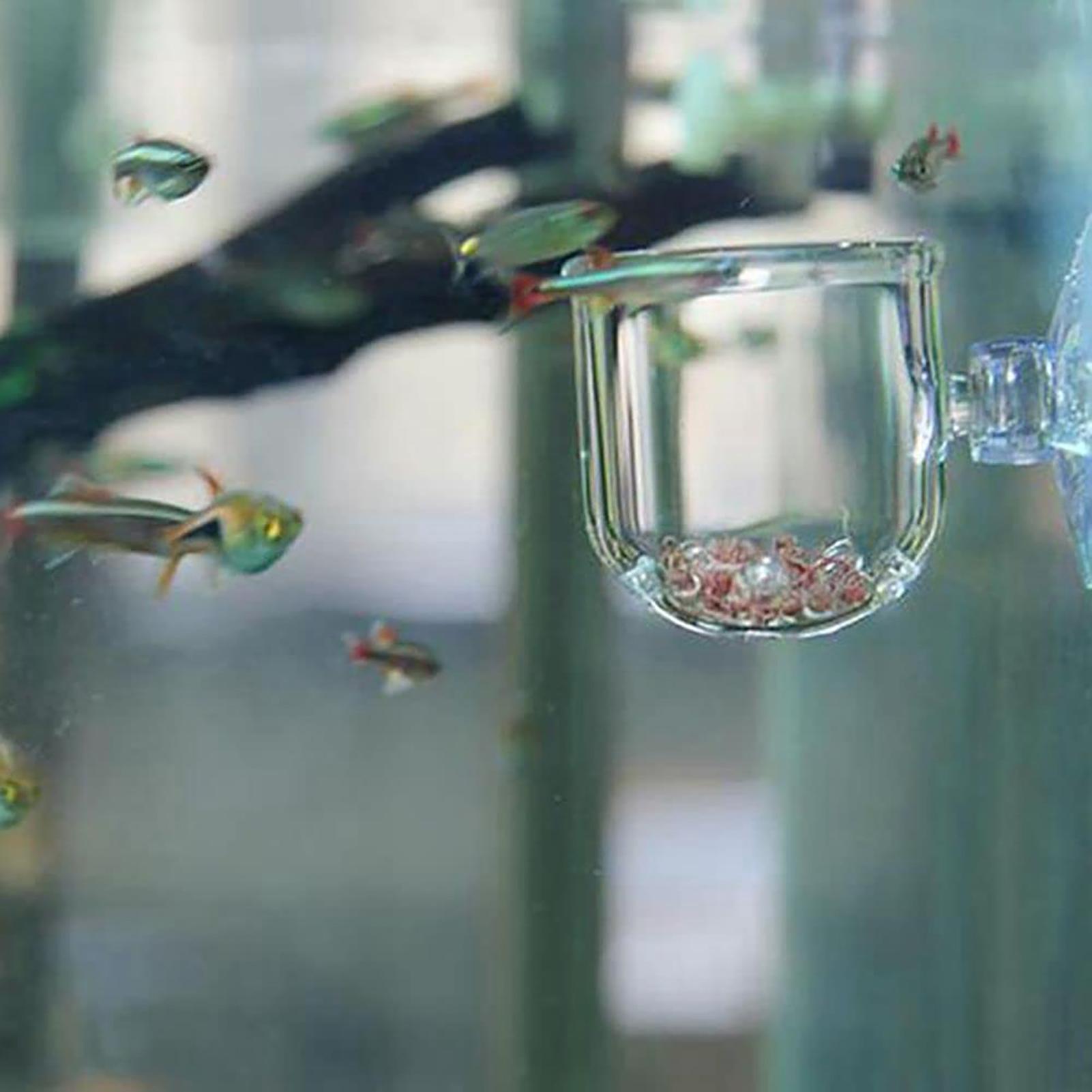 Aquarium Decoration Plant Cup  - Plant Aquarium Pot 评论和价格