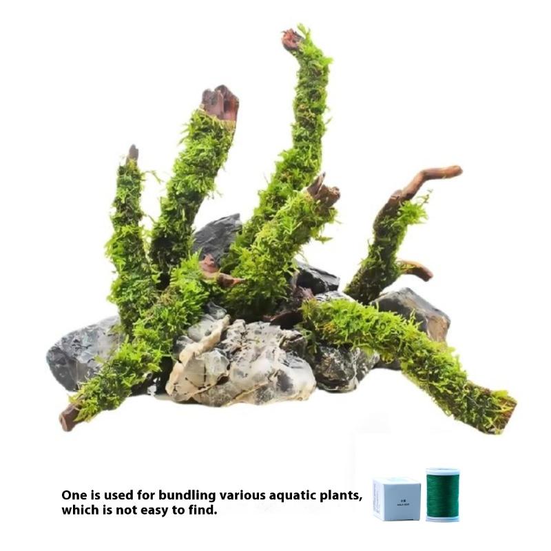 200M Naturally Degradable Moss - Aquarium Moss 评论和价格