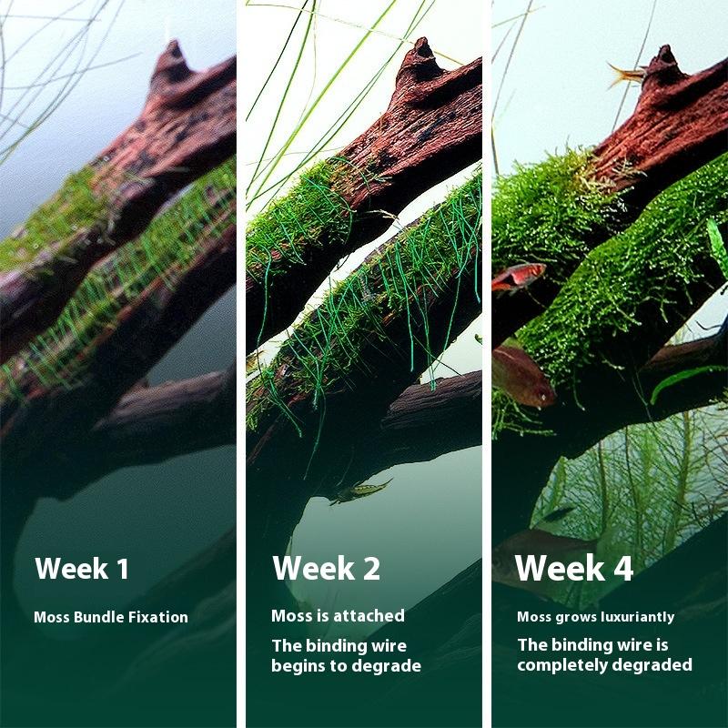 200M Naturally Degradable Moss - Aquarium Moss 评论和价格