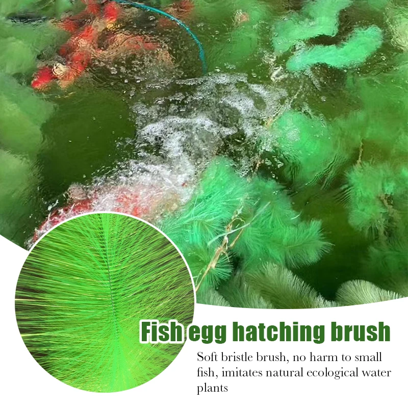 60Cm/100Cm Artificial Aquarium - Live Plant Aquarium 评论和价格
