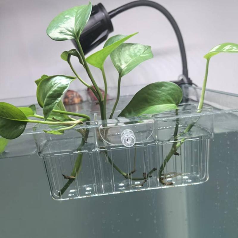 Hydroponic Plant Basket Food G - Aquarium Plant Holder 评论和价格