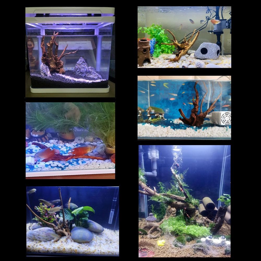 20-25CM Large Aquarium Driftwo - Aquarium Plants Live 评论和价格