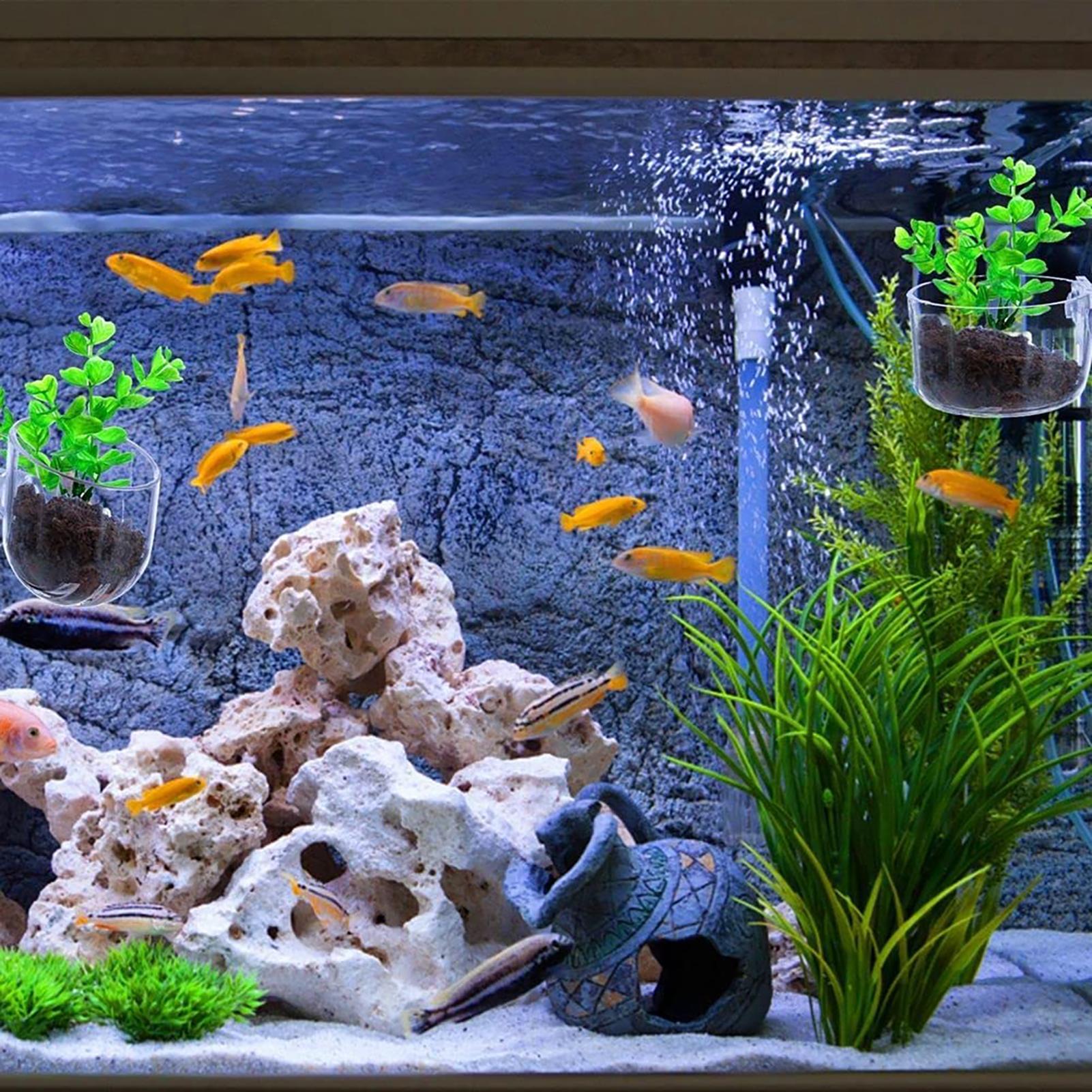 Aquatic Plant Pot Clear Acryli - Plant Aquarium Pot 评论和价格