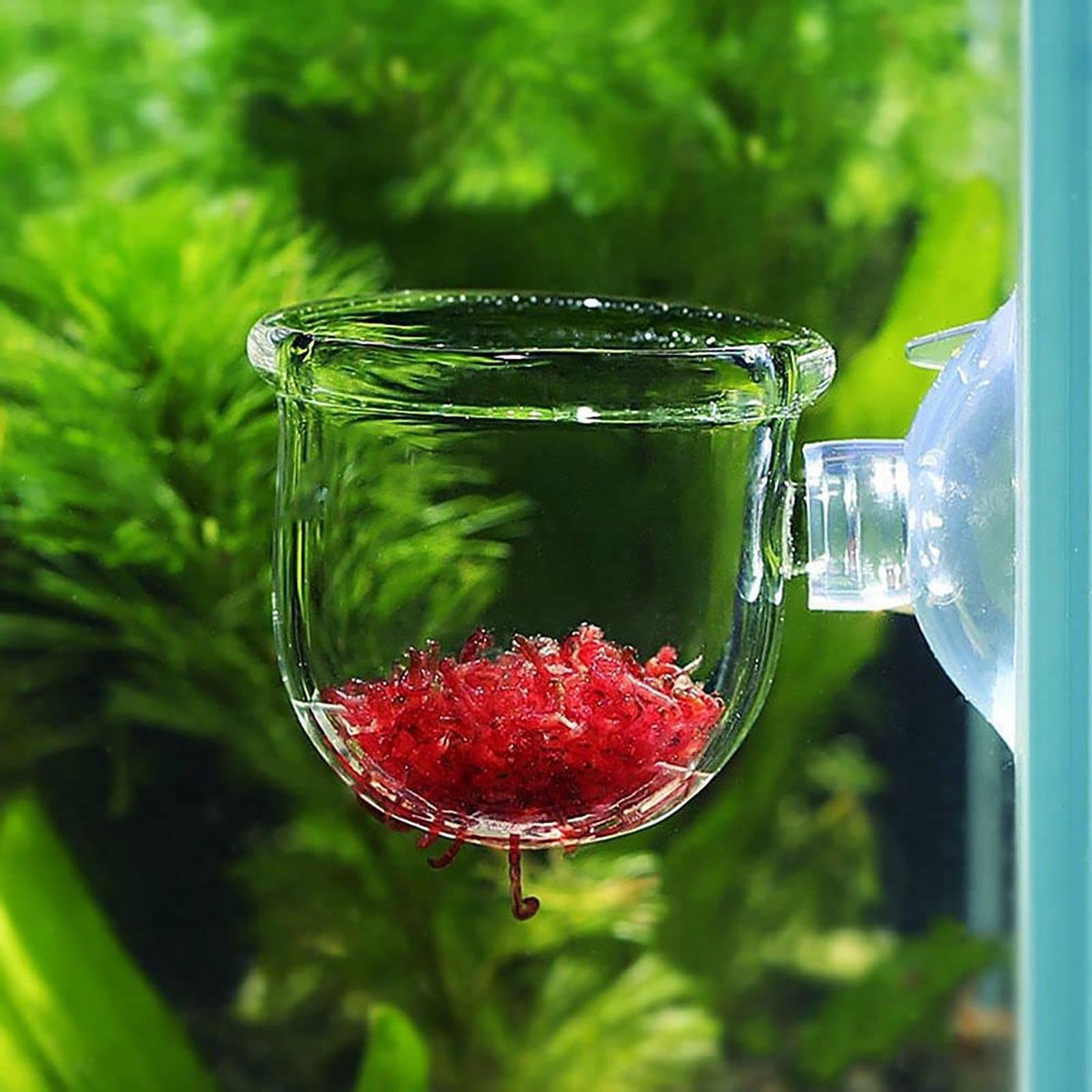 Aquatic Plant Pot Clear Acryli - Plant Aquarium Pot 评论和价格