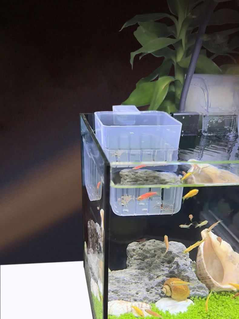 Aquarium Transparent Hydroponi - Aquarium Plant Holder 评论和价格