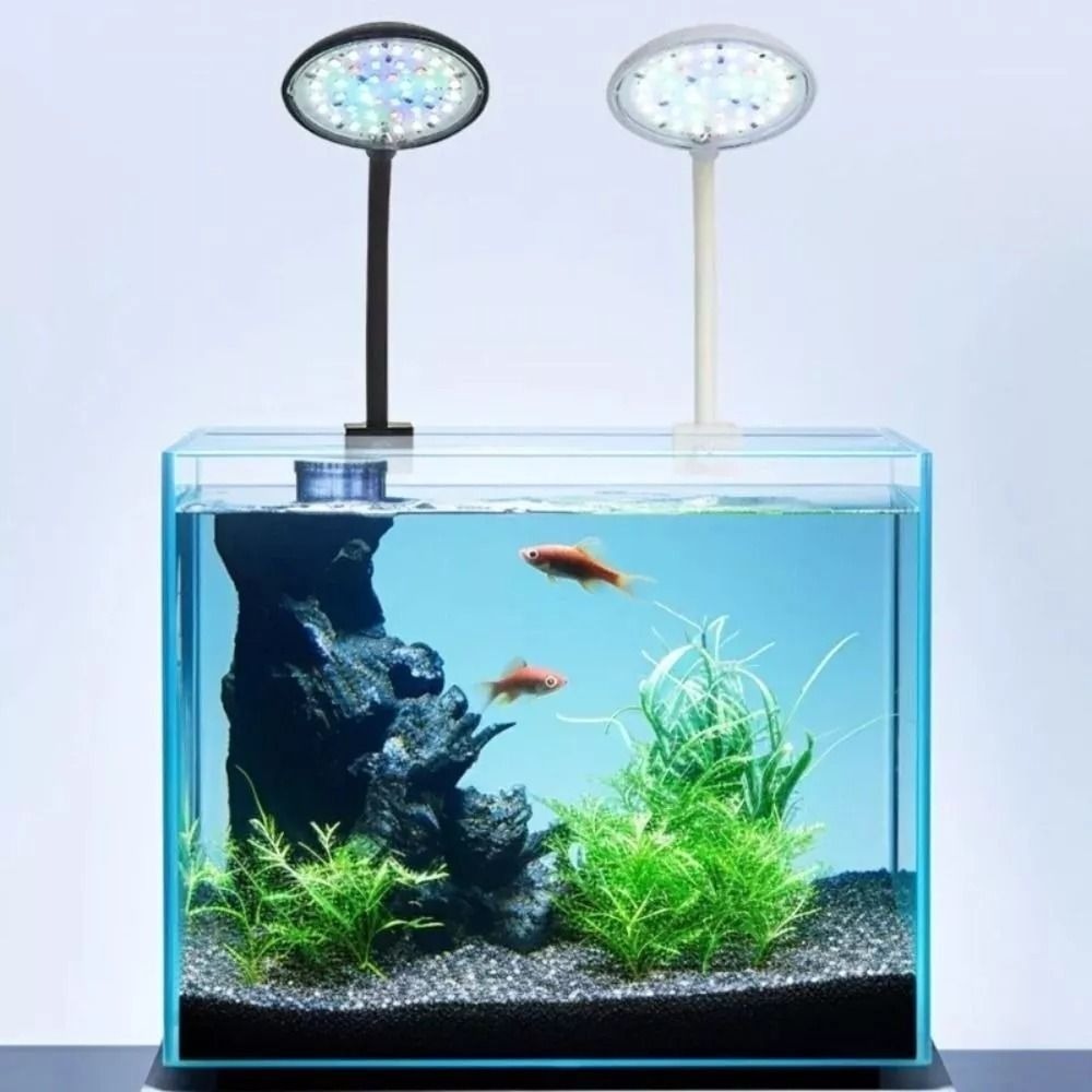 New Mini Fish Tank Clip Lamp 5 - Live Plant Aquarium 评论和价格