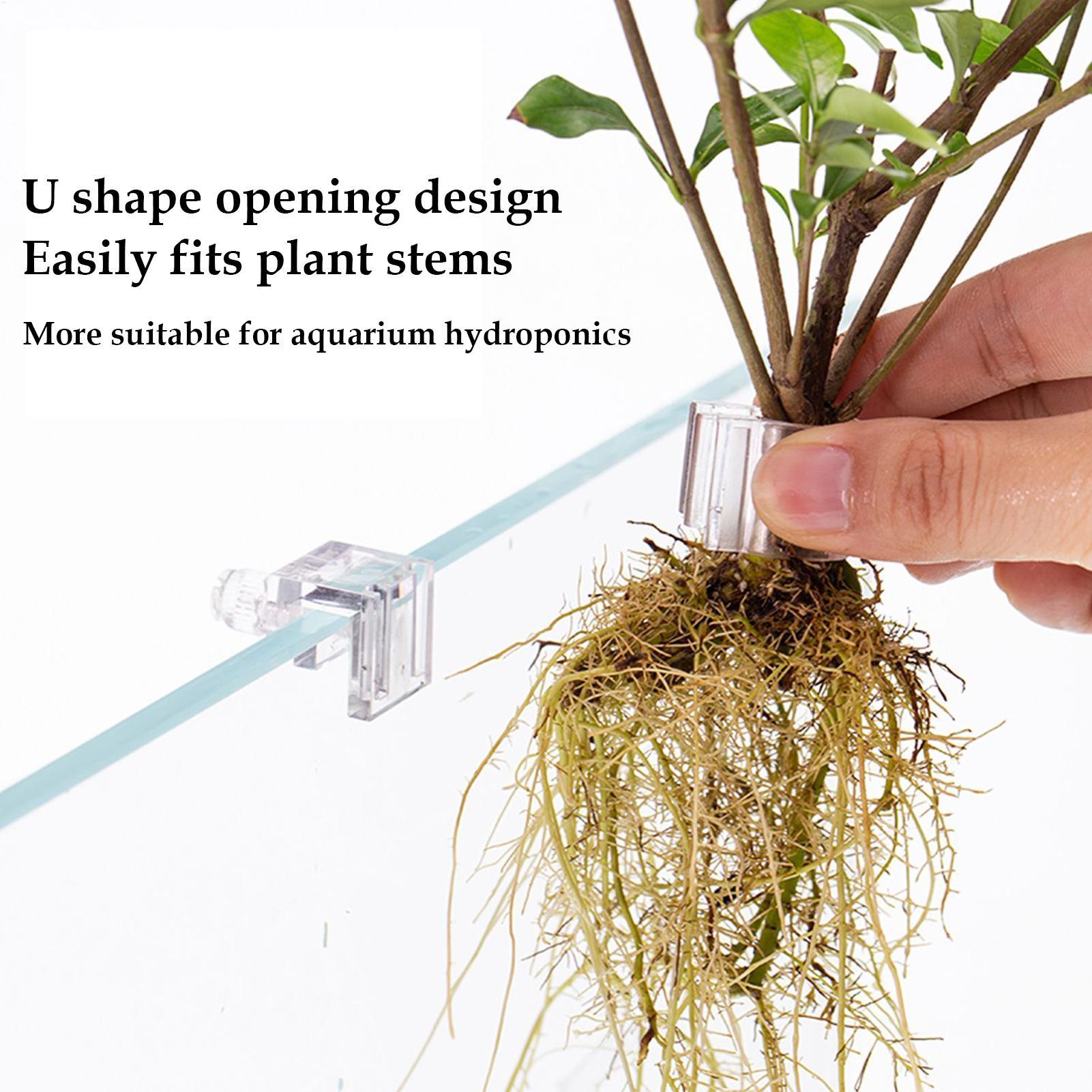 Aquarium Plant Basket Transpar - Aquarium Plants Live 评论和价格