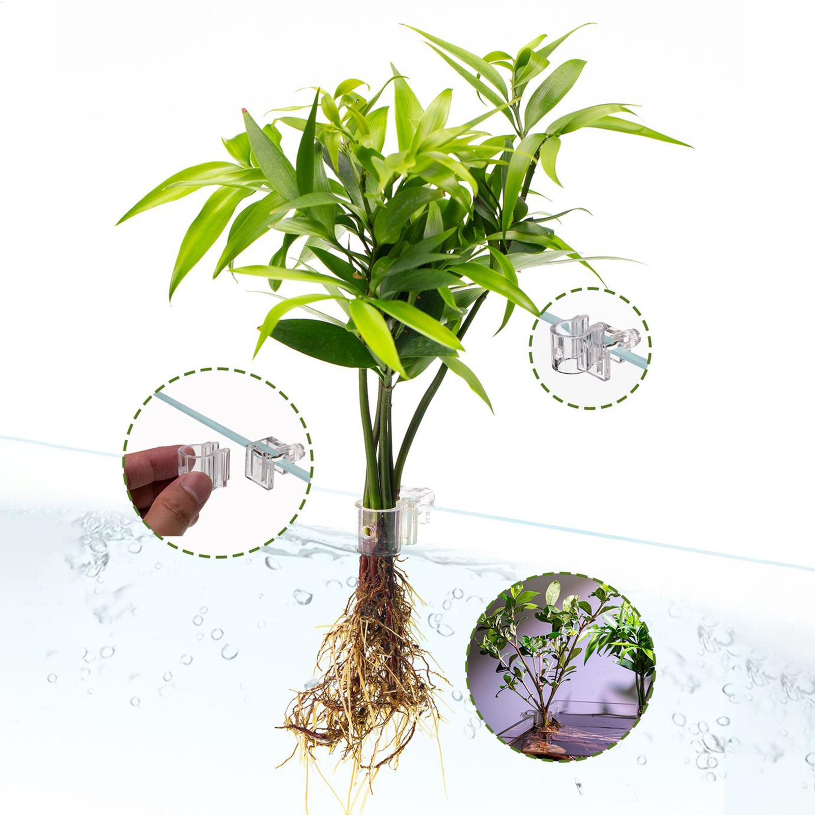Aquarium Plant Basket Transpar - Aquarium Plants Live 评论和价格