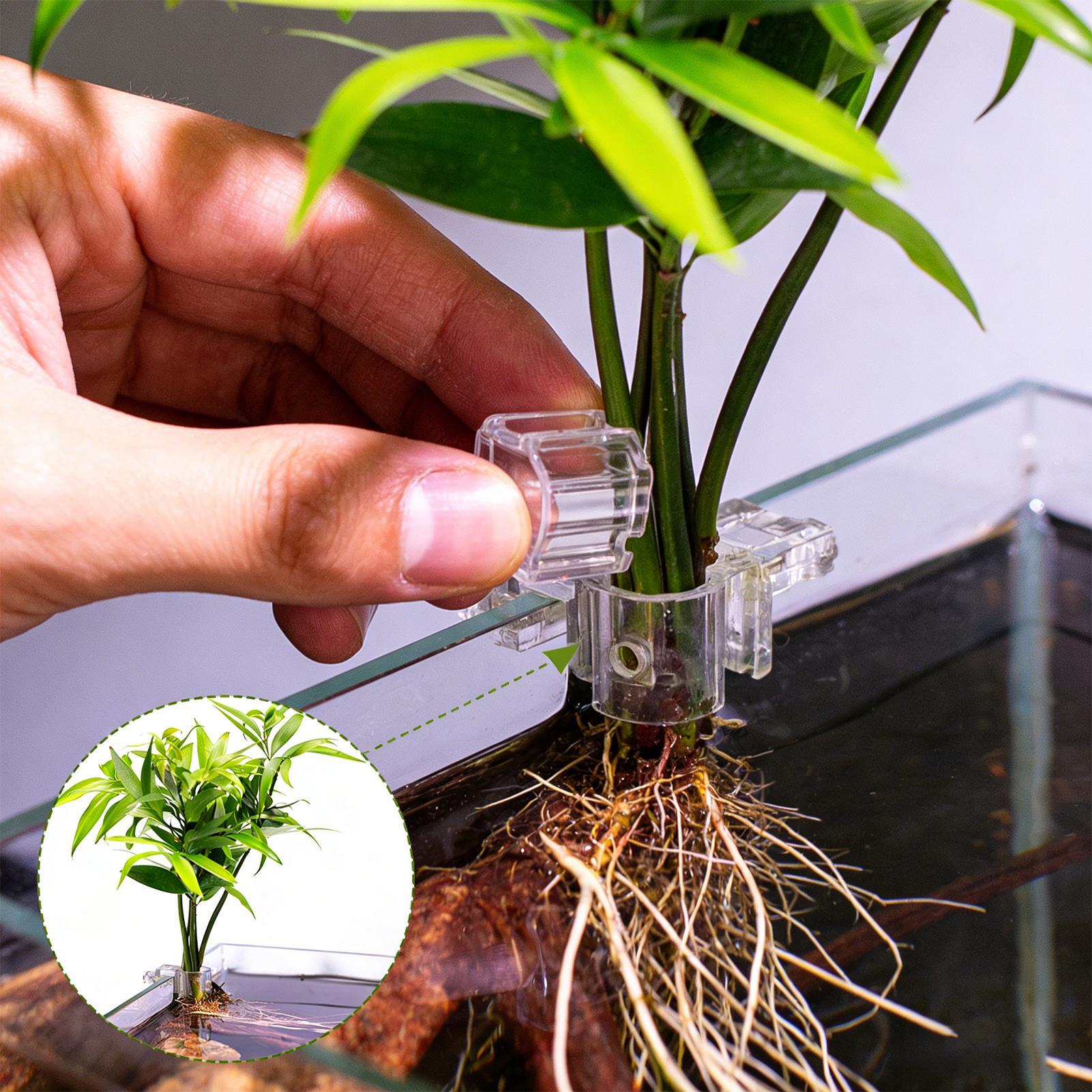 Aquarium Plant Basket Transpar - Aquarium Plants Live 评论和价格