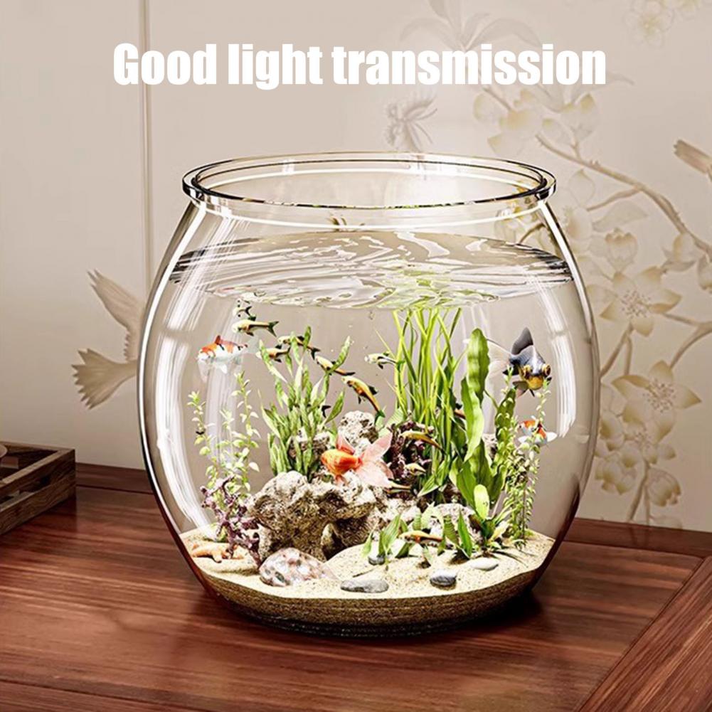 Clear Plastic round Fish Bowl  - Plant Aquarium Pot 评论和价格