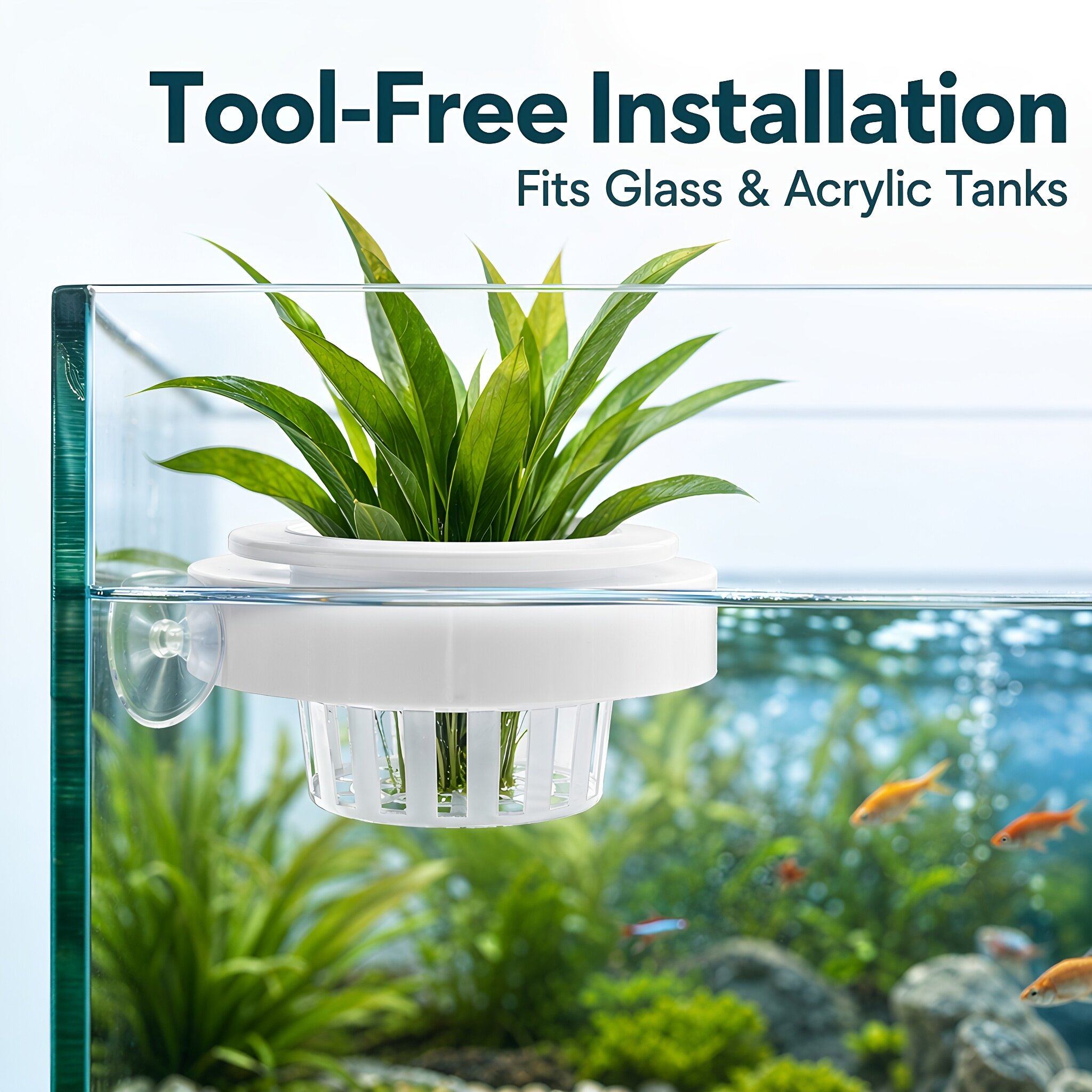 4pcs Floating Aquarium Plant B - Planted Tank 评论和价格
