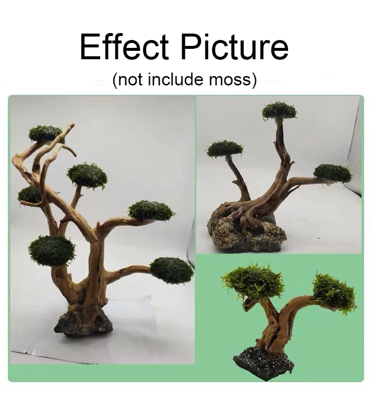 Aquarium Driftwood Landscaping - Aquarium Moss 评论和价格