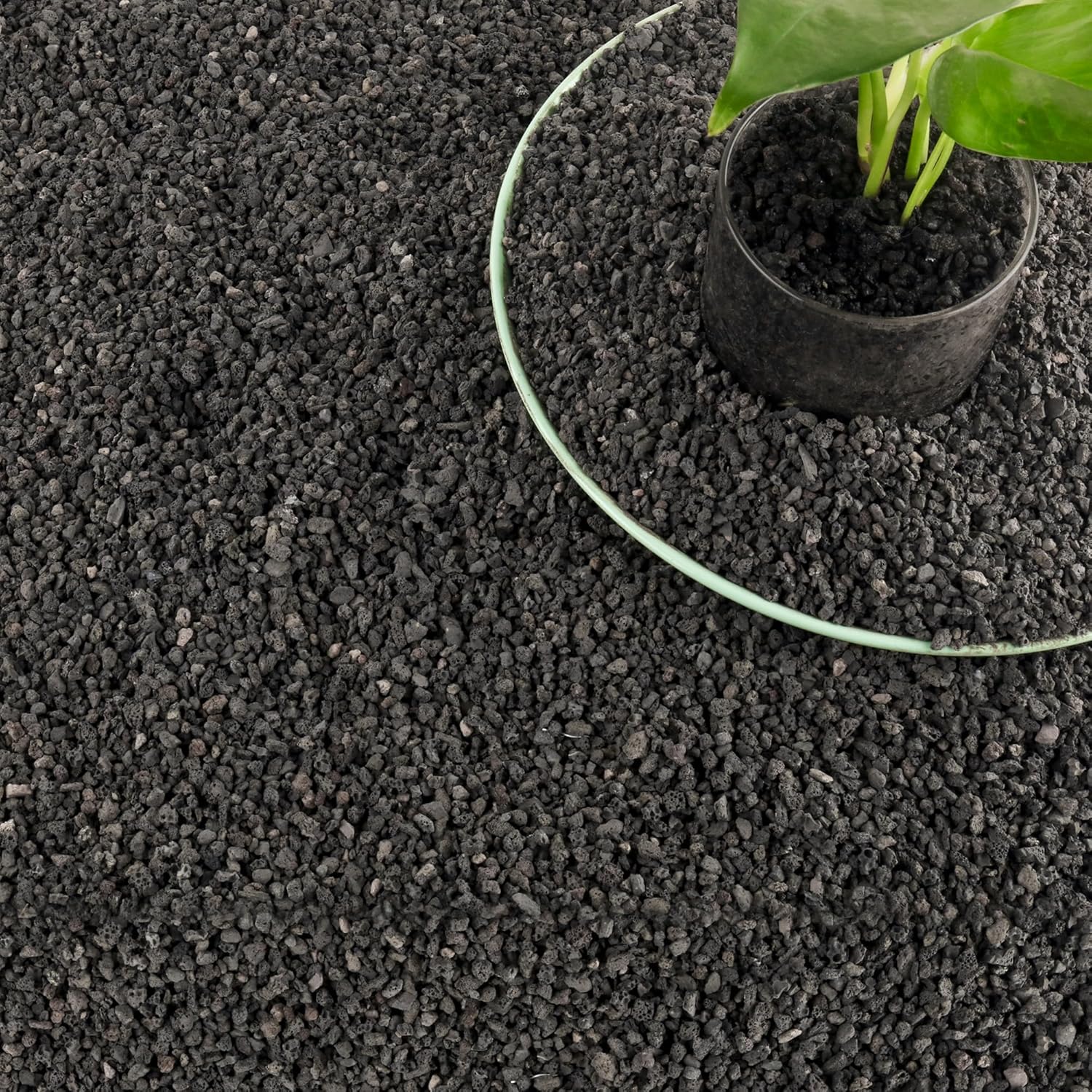 3lb Black Aquarium Filter Medi - Plant Aquarium Pot 评论和价格