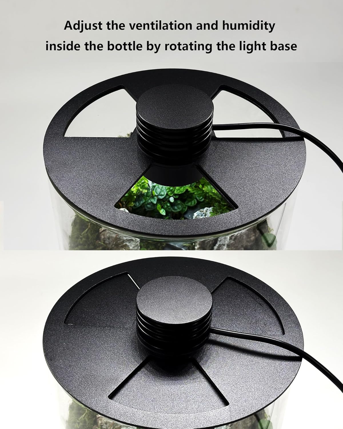 Indoor Glass Terrarium with Gr - Planted Tank 评论和价格