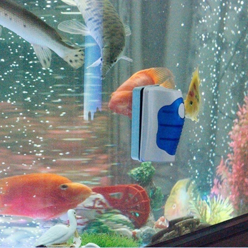 Fish Tank Glass Scraper Cleane - Planted Aquarium Cleaning 评论和价格